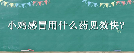 小鸡感冒用什么药见效快 小鸡感冒什么药效果最佳用