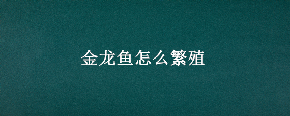 金龙鱼怎么繁殖 金龙鱼怎么繁殖视频