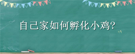 自己家如何孵化小鸡（自己家怎么孵小鸡）