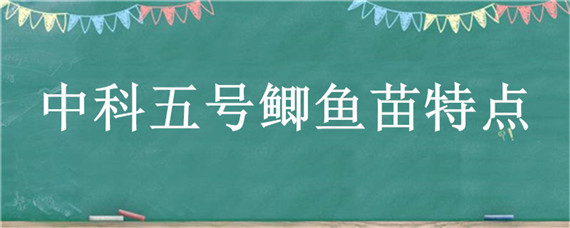 中科五号鲫鱼苗特点（中科三号鲫鱼苗特点）