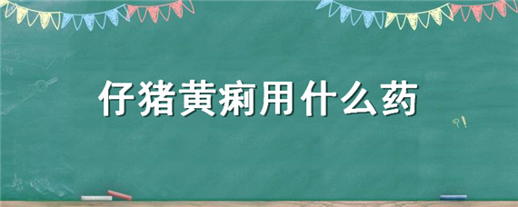 仔猪黄痢用什么药（仔猪黄痢可以用什么治疗）