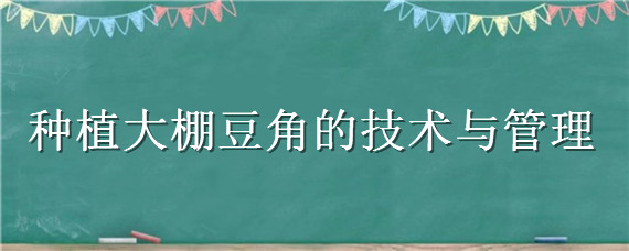 种植大棚豆角的技术与管理 温室大棚豆角种植技术与管理
