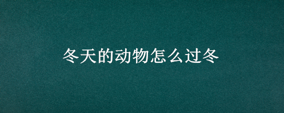 冬天的动物怎么过冬（冬天的小动物怎么过冬）