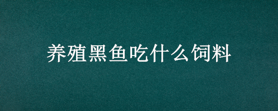 养殖黑鱼吃什么饲料 黑鱼吃什么食物?黑鱼的养殖技术