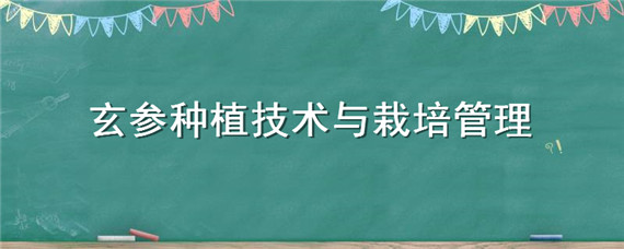 玄参种植技术与栽培管理（玄参的栽培技术）