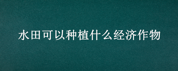 水田可以种植什么经济作物（水田农作物有什么）