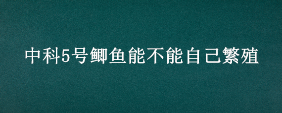 中科5号鲫鱼能不能自己繁殖（中科五号鲫鱼苗多久成年）