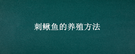 刺鳅鱼的养殖方法（刺泥鳅养殖方法）