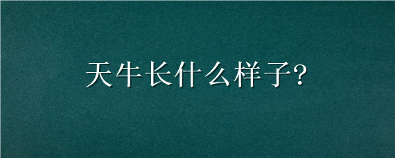 天牛长什么样子?（天牛长什么样子视频）