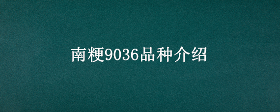 南粳9036品种介绍 南粳46品种介绍