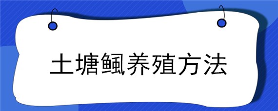 土塘鲺养殖方法（土塘鲺每平方养多少）