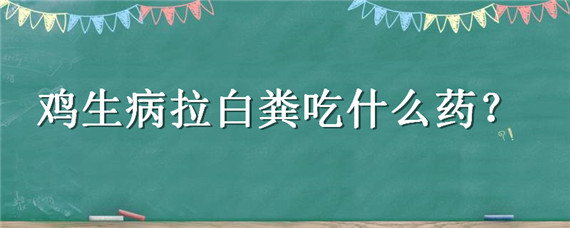 鸡生病拉白粪吃什么药 鸡拉白粪吃什么药最好