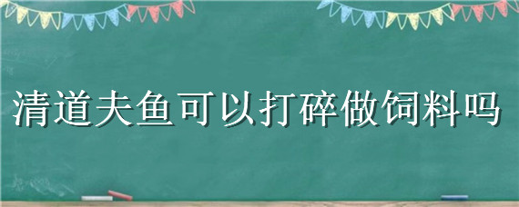 清道夫鱼可以打碎做饲料吗 清道夫可以打碎当饲料用吗?