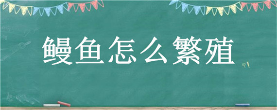 鳗鱼怎么繁殖 鳗鱼怎么繁殖的