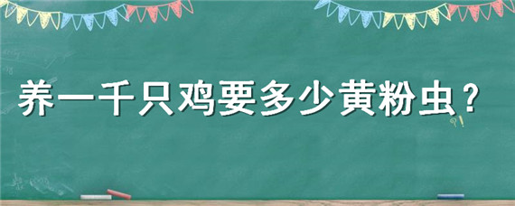 养一千只鸡要多少黄粉虫 黄粉虫可以养鸡吗