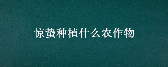 惊蛰种植什么农作物 惊蛰前后种植什么蔬菜