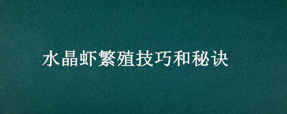 水晶虾繁殖技巧和秘诀（练手水晶虾能繁殖出好虾吗）