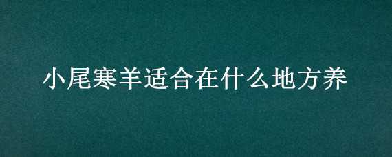 小尾寒羊适合在什么地方养（小尾寒羊在南方是否适合养殖?）