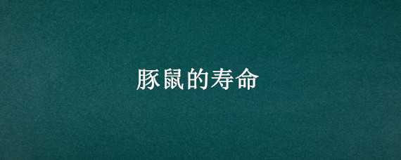 豚鼠的寿命 豚鼠的寿命有多长,豚鼠能认人吗