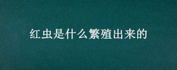 红虫是什么繁殖出来的 怎样繁殖红虫子