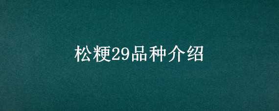 松粳29品种介绍 粳稻品种松粳28