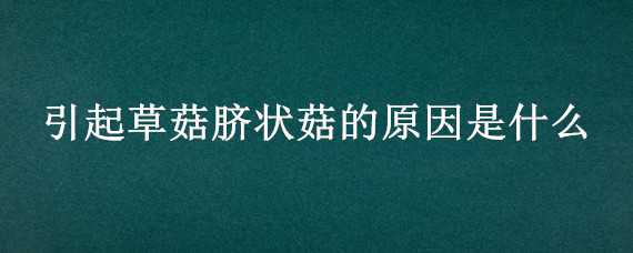 引起草菇脐状菇的原因是什么（畸形菇是什么原因导致的）