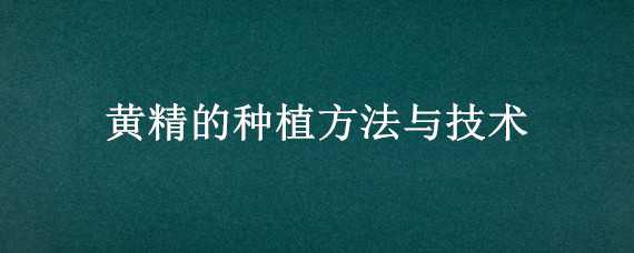 黄精的种植方法与技术 黄精的种植方法与技术黄精在那个时候施肥