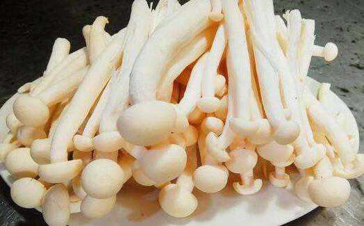 海鲜菇的功效与作用及禁忌有哪些 海鲜菇的功效与作用及禁忌有哪些食物