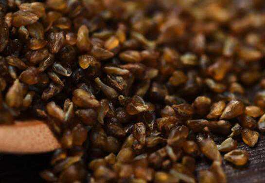 吃黑苦荞米有什么好处