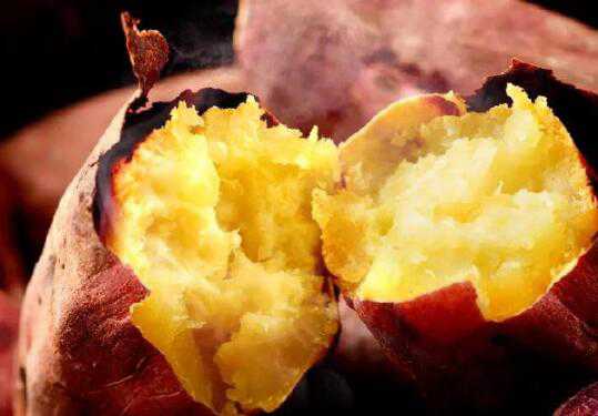 坚持每天吃红薯的好处 坚持每天吃红薯的好处 m.由来.cn