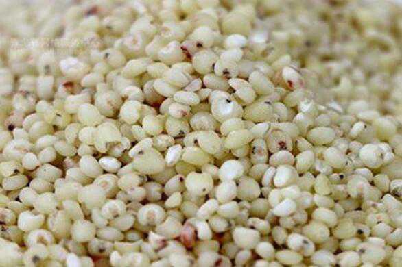 秫米与高粱米的区别，吃秫米的好处 秫米是高粱米还是粘高粱米
