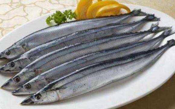刀鱼和带鱼的区别，吃刀鱼的好处 刀鱼和带鱼的区别,吃刀鱼的好处和坏处