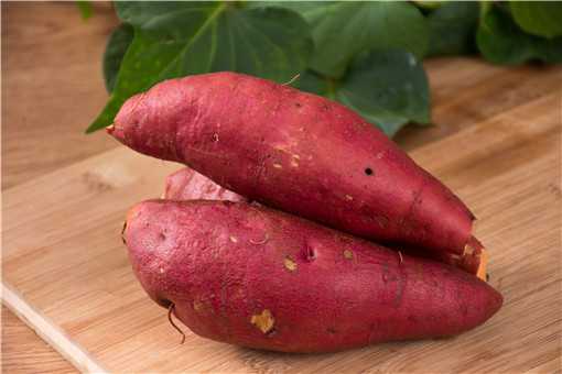 红薯种植的方法与时间是什么 红薯的栽培时间及方法