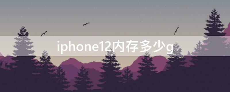 iPhone12内存多少g