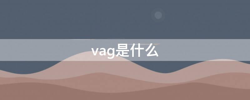 vag是什么