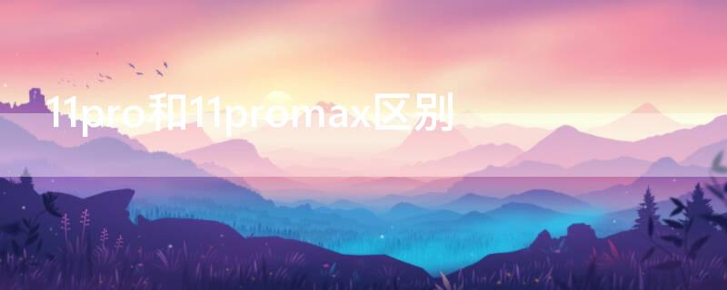 11pro和11promax区别