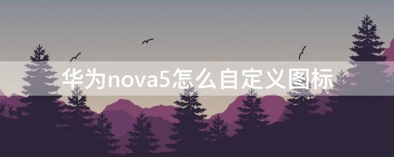 华为nova5怎么自定义图标