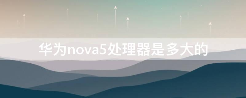 华为nova5处理器是多大的