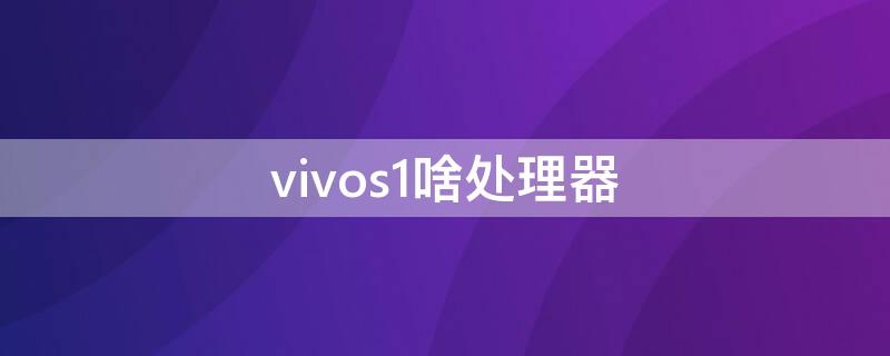 vivos1啥处理器