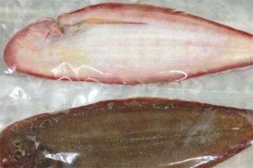 舌头鱼价格多少钱一斤 大舌头鱼多少钱一斤