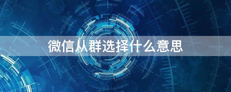 微信从群选择什么意思