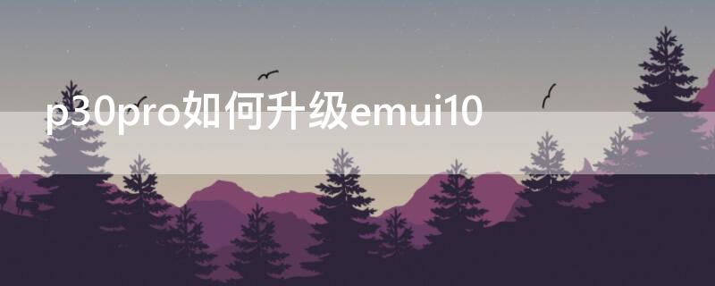 p30pro如何升级emui10