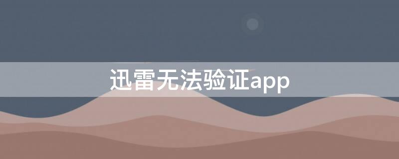 迅雷无法验证app