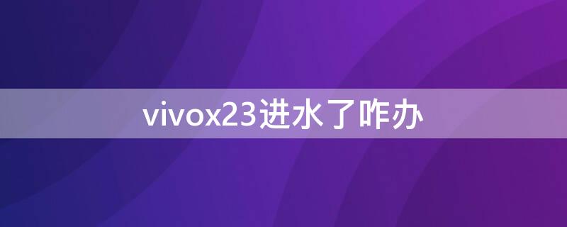 vivox23进水了咋办