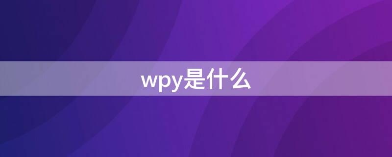 wpy是什么