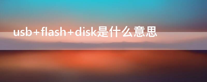 usb flash disk是什么意思