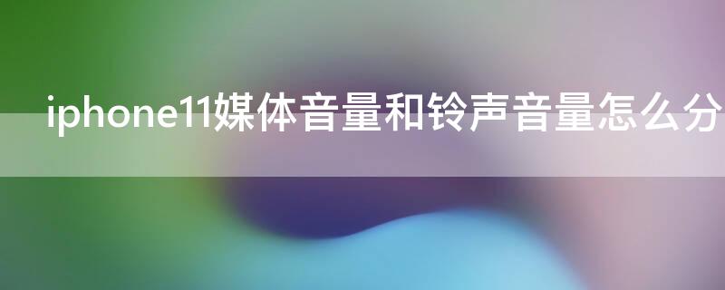 iPhone11媒体音量和铃声音量怎么分开