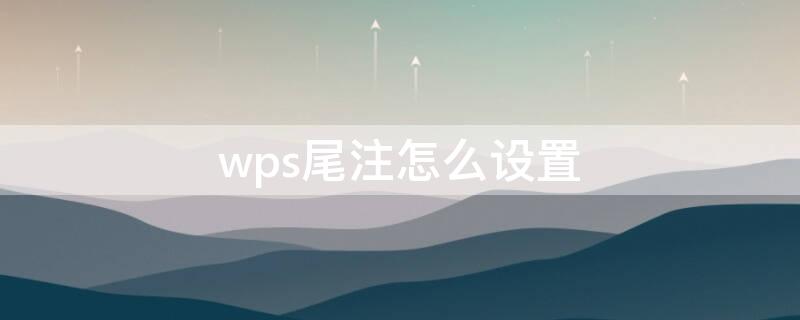 wps尾注怎么设置