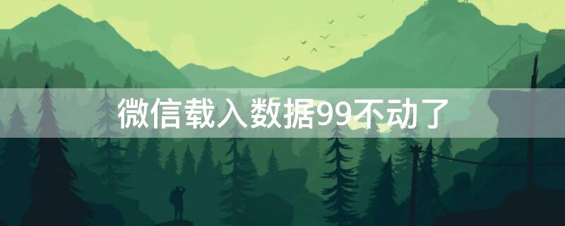 微信载入数据99不动了