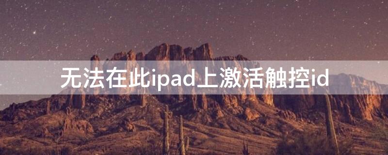 无法在此ipad上激活触控id